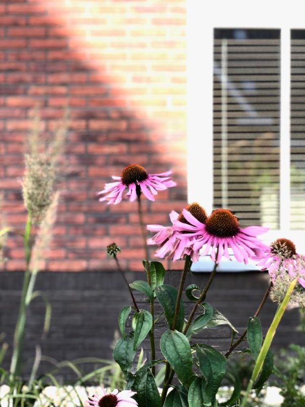 Metselbedrijf Renden
